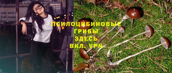 дурь Рославль