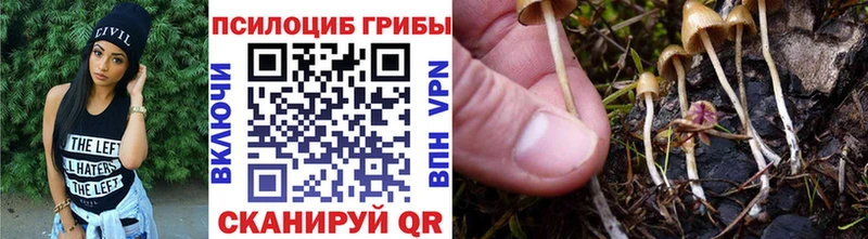 Галлюциногенные грибы прущие грибы Дятьково