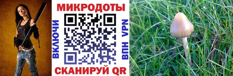 Галлюциногенные грибы Magic Shrooms  Дятьково 
